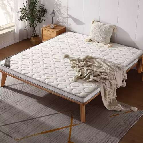 天然椰棕床墊家用偏硬護脊軟棕櫚兒童乳膠棕墊可折疊定制