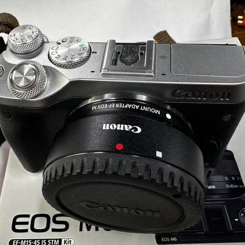 Canon EOS M6 + Canon EFM 28mm f/3.5 Macro IS STM + MK320閃光燈