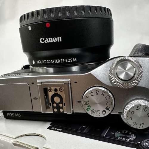 Canon EOS M6 + Canon EFM 28mm f/3.5 Macro IS STM + MK320閃光燈