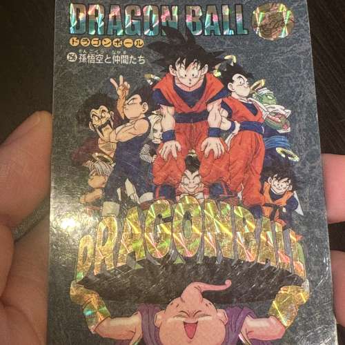 龍珠風雲 7 95EX 閃卡 No.256