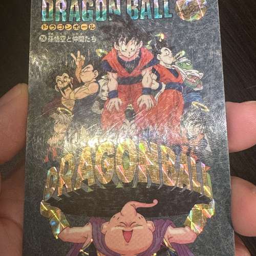 龍珠風雲 7 95EX 閃卡 No.256