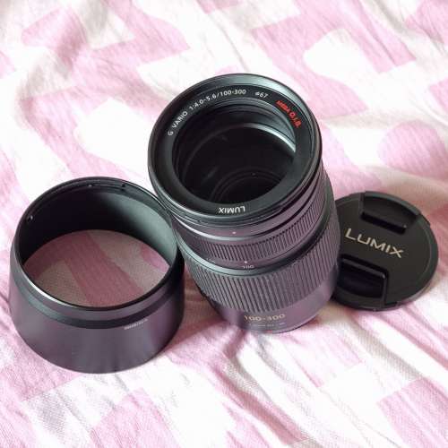Lumix 100-300mm F4-5.6