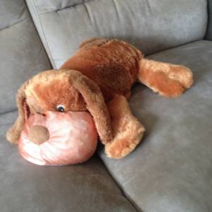 👶 Home Decor Figure Toy Dog Blanket USED 玩具 👶
