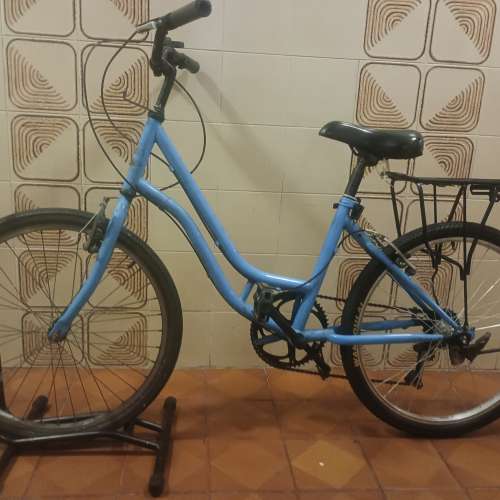 24 吋藍色單車
