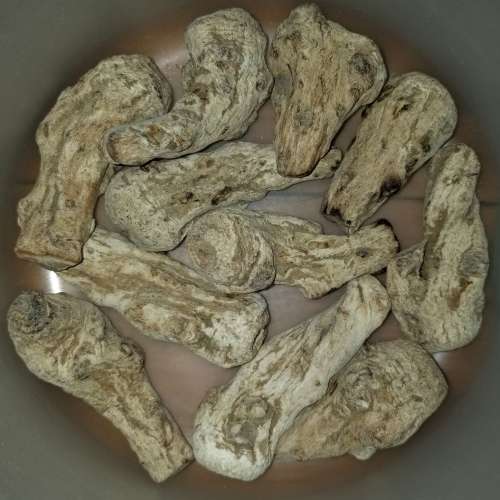 ***一套價 當歸頭 1200 克  Chinese Angelica 1200 grams 1.2kg Total One Set Price