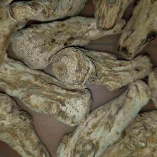 ***一套價 當歸頭 1200 克  Chinese Angelica 1200 grams 1.2kg Total One Set Price