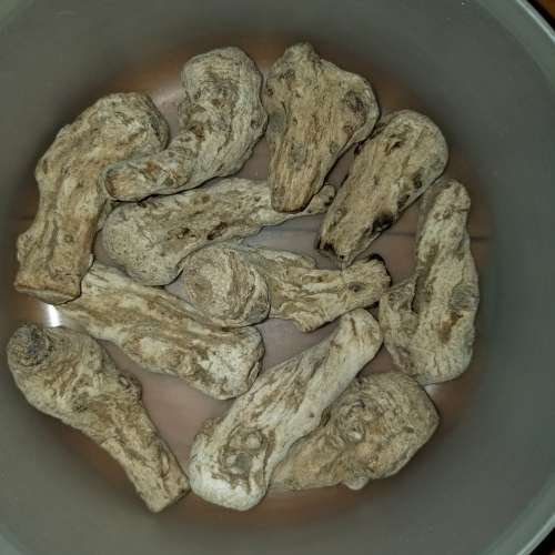 ***一套價 當歸頭 1200 克  Chinese Angelica 1200 grams 1.2kg Total One Set Price