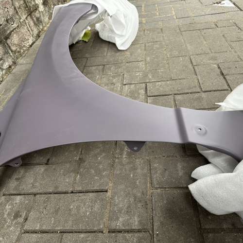 側腦頰，炭纖維(一對)