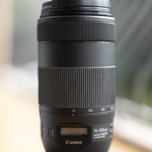 Canon EF 70-300mm f/4-5.6 IS II USM