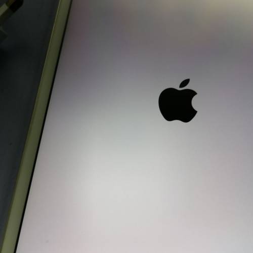 ipad mini 4 16gb wifi版