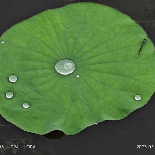 xiaomi 小米 13 Ultra 512 (白色 跟綠色攝影套裝 無花 國行