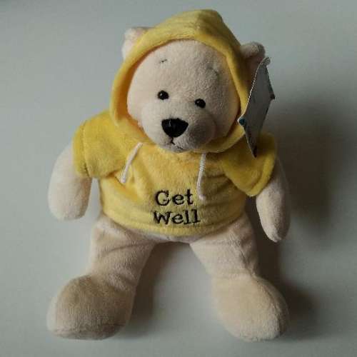 全新 GANZ bear 小熊 熊仔 公仔