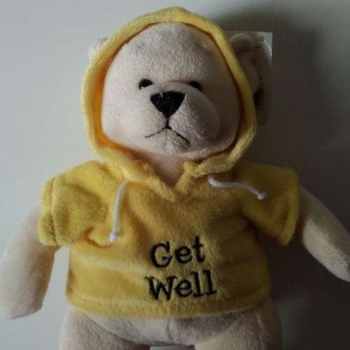 全新 GANZ bear 小熊 熊仔 公仔