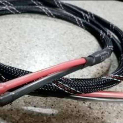 Venus cable speakers 2.45米～ l對