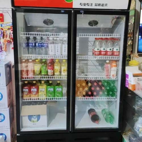 家用小型冰櫃 大容量 冷凍櫃保鮮兩用 全新現貨 清倉特價