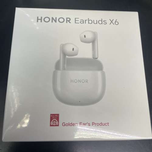 honor earbuds x6