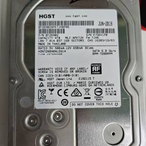 HGST 4TB sata 7200rpm HDD 第二隻