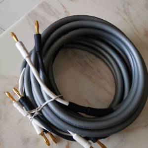 MIT EXP Speaker Cable