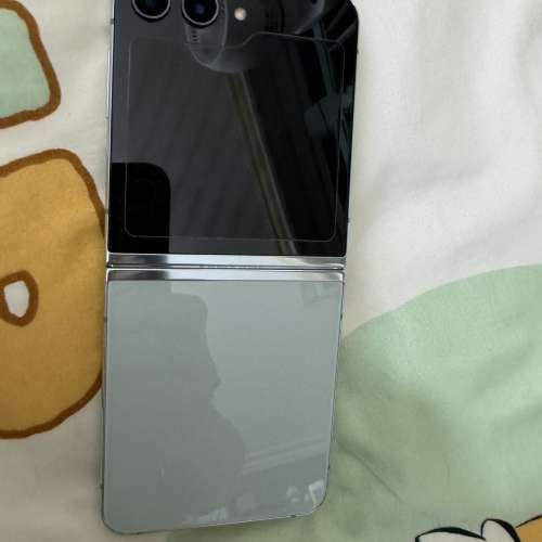 Samsung Flip 5 256G 綠色 99新