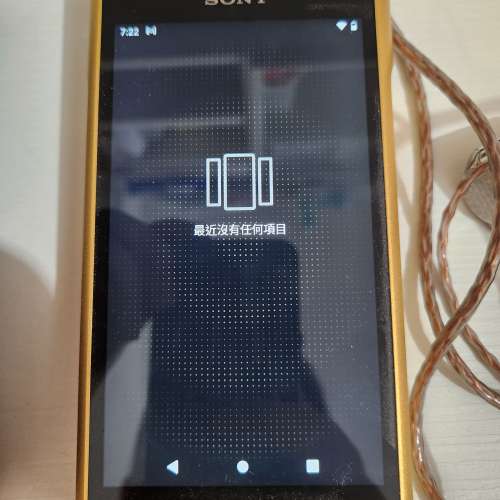 [出售] 二手Sony Wm1zm2 金𥖁2 及 Ier Z1r  不散賣