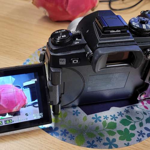 Olympus OM-D E-M1 Mark II (Body only剩機身)