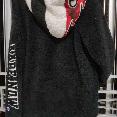 Aape x champion 外套