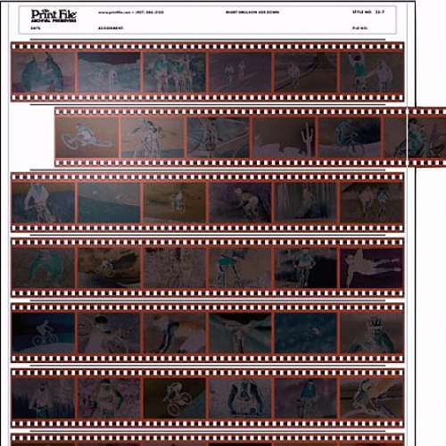 PrintFile 35mm film preservers