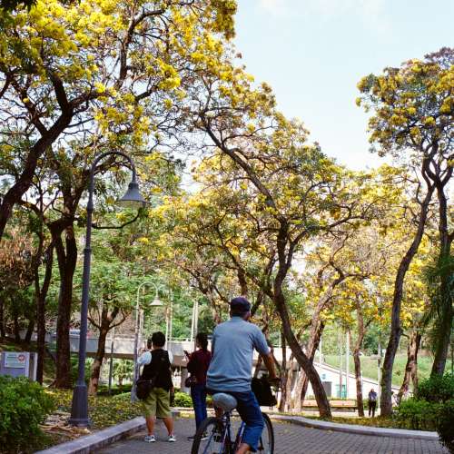 Pentax LX 罕有專業機種 菲林單反相機 輕巧