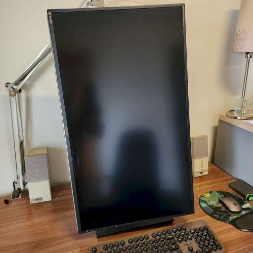 Asus 32" Professional Monitor