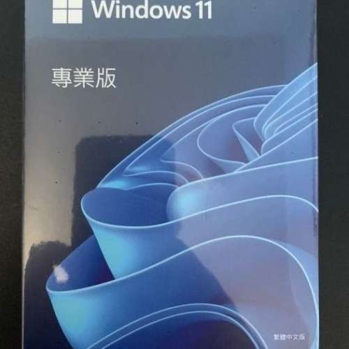微軟windows10 windows11 pro 專業版 彩盒裝 繁體中文 USB手指安裝WIN10/WIN11