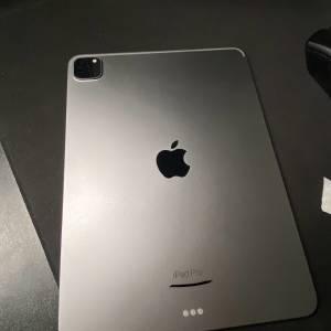 Ipad pro 11 M2 wifi 256GB ( Applecare 到27/10/2024)