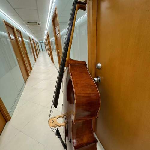 低音大提琴 double bass cello
