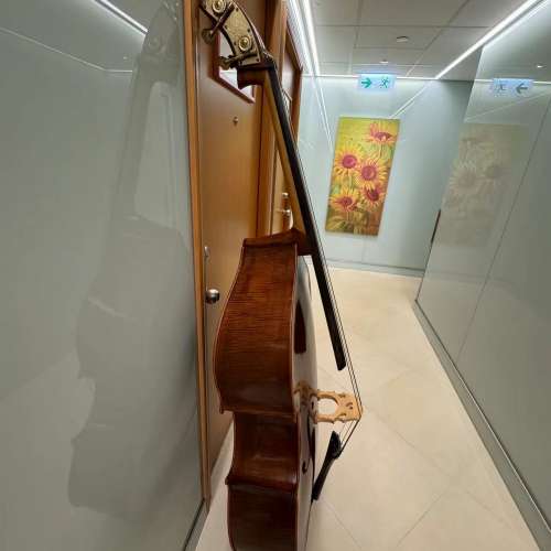 低音大提琴 double bass cello