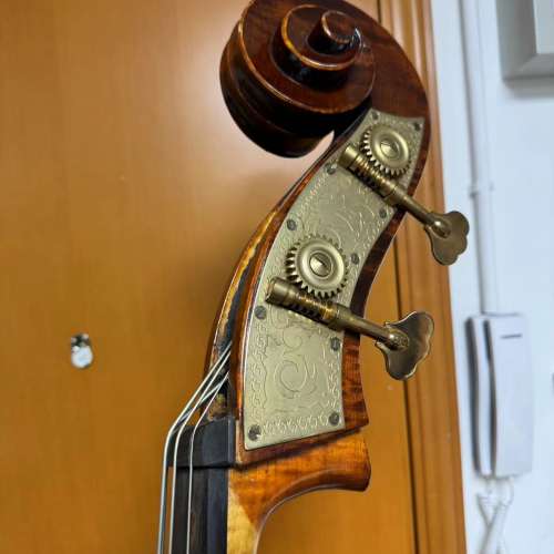 低音大提琴 double bass cello