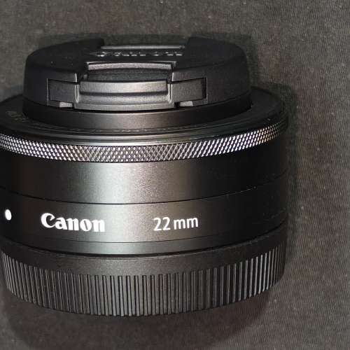 Canon 22/2 STM EFM