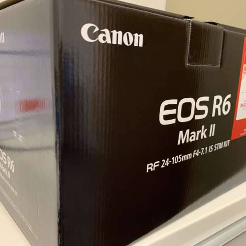 Canın R6 Mark2 連RF24-105 F4-7.1 stm kit