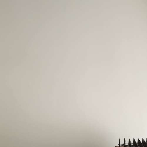 JBL Control X Surround SPK 環繞聲喇叭