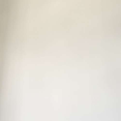 JBL Control X Surround SPK 環繞聲喇叭