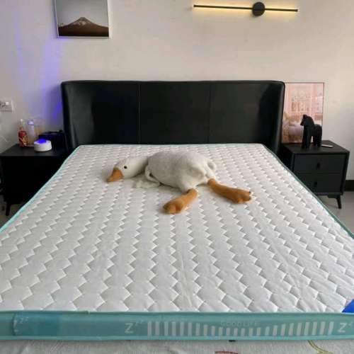 Brand new mattress single and double models全新的床墊 單人雙人款