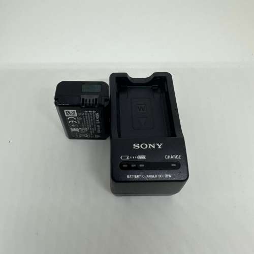 SONY FW-50原廠電池充電器