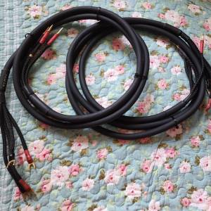 AudioQuest Slate Bi-Wire Speaker Cables