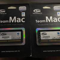 全新 Team Mac ddr3 1333 4G 永久有保養