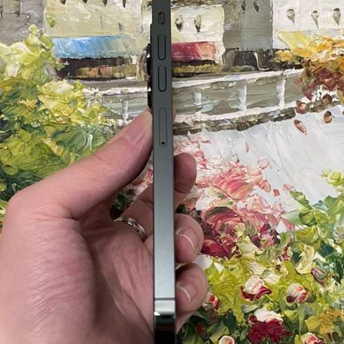 Apple iPhone 13 Pro Max 1TB， 6.7寸大螢幕，功能全部正常運作