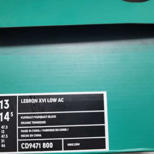 Lebron 16 Low Atmos Safari US 13/UK 12/EU 47.5