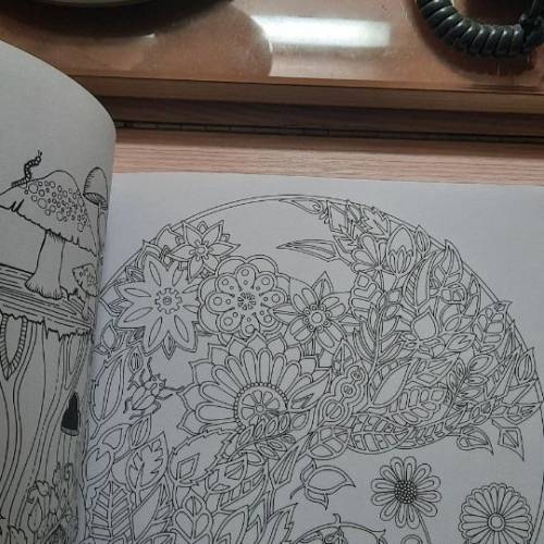 秘密花園填色冊 (英文版)