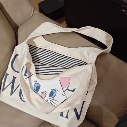 全新泰國帆布袋，有拉鍊，料靚