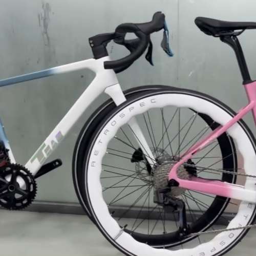 2024 TWITTER STEALTH pro 24速 電變油剎 碳纖維公路車 送水架前後蛙燈