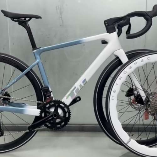 2024 TWITTER STEALTH pro 24速 電變油剎 碳纖維公路車 送水架前後蛙燈