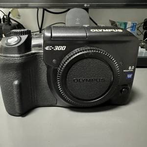 Olympus E300 Kodak CCD 4/3 系統