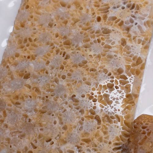 BlingBling 骨骼蕾丝 吊墜